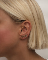 Monstera Earrings